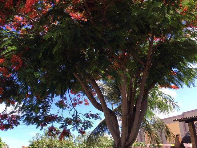 #567 - Casa para Venda em João Pessoa - PB - 3